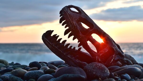 Use video throughout the sales cycle or face extinction